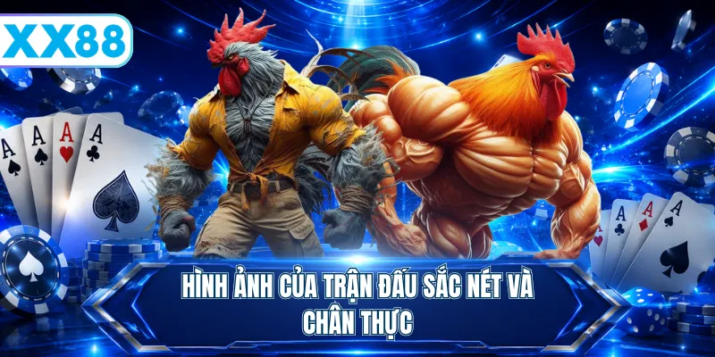 Hình ảnh của trận đấu sắc nét và chân thực